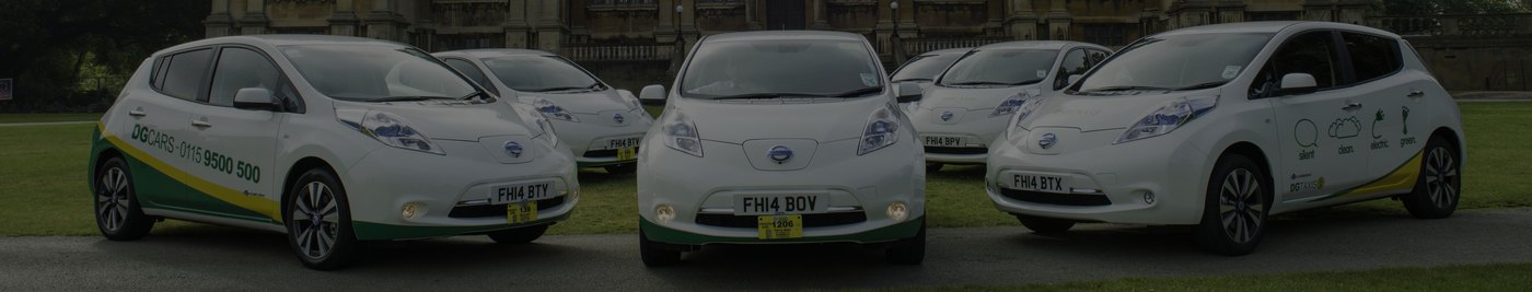 DG Cars fleet of vehicles